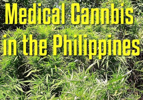 marijuana legalization in the philippines research paper