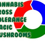 Cannabis Cross Tolerance Magic Mushrooms