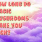 How Long Do Magic Mushrooms Make You High