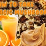 How To Take Magic Mushrooms