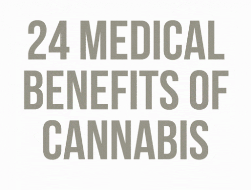 24 Medical Benefits Of Cannabis Resource Guide By BC Seeds