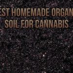 Best Homemade Organic Soil For Cannabis