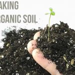 Making Your Own Organic Soil