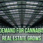 Demand For Cannabis Real Estate Grows