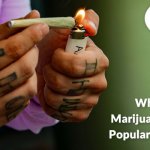 What Types of Marijuana Buds Are Popular to Stoners