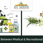 Difference Between Medical & Recreational Marijuana