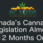 Canada’s cannabis legislation almost 12 months on