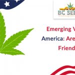 Emerging Vibes In America Are you 420 friendly