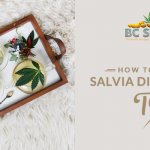 How To Make Salvia Divinorum Tea