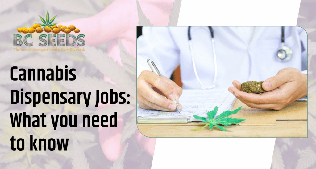 Cannabis Dispensary Jobs What You Need to Know BC Seeds