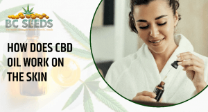 CBD Oil