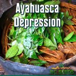 Ayahuasca Depression