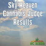 Sky Heaven Cannabis Judge Results