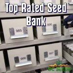 Top Rated Seed Bank