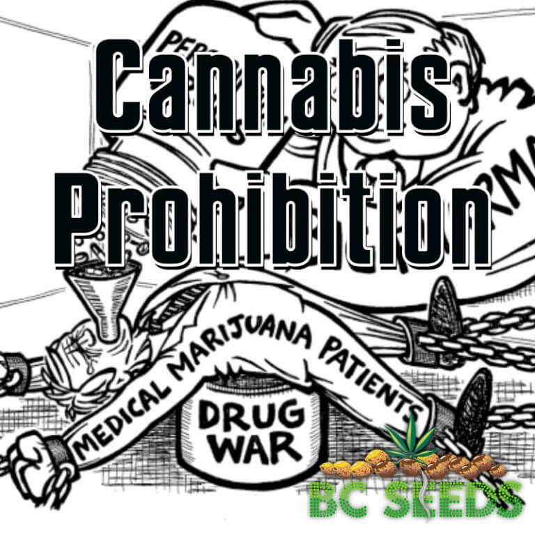 Cannabis Prohibition, Racism And Its Impact On Society In The USA