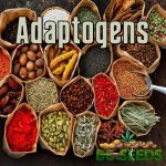 Adaptogens