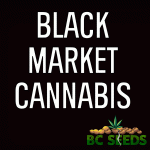 Black Market Cannabis