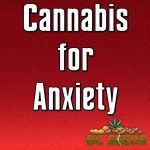 Cannabis For Anxiety