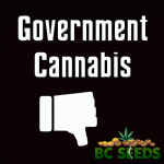 Government Cannabis