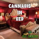 Cannabis and Sexual Health