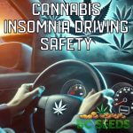 Cannabis Insomnia Driving Safety