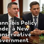 Cannabis Policy Under a New Conservative Government